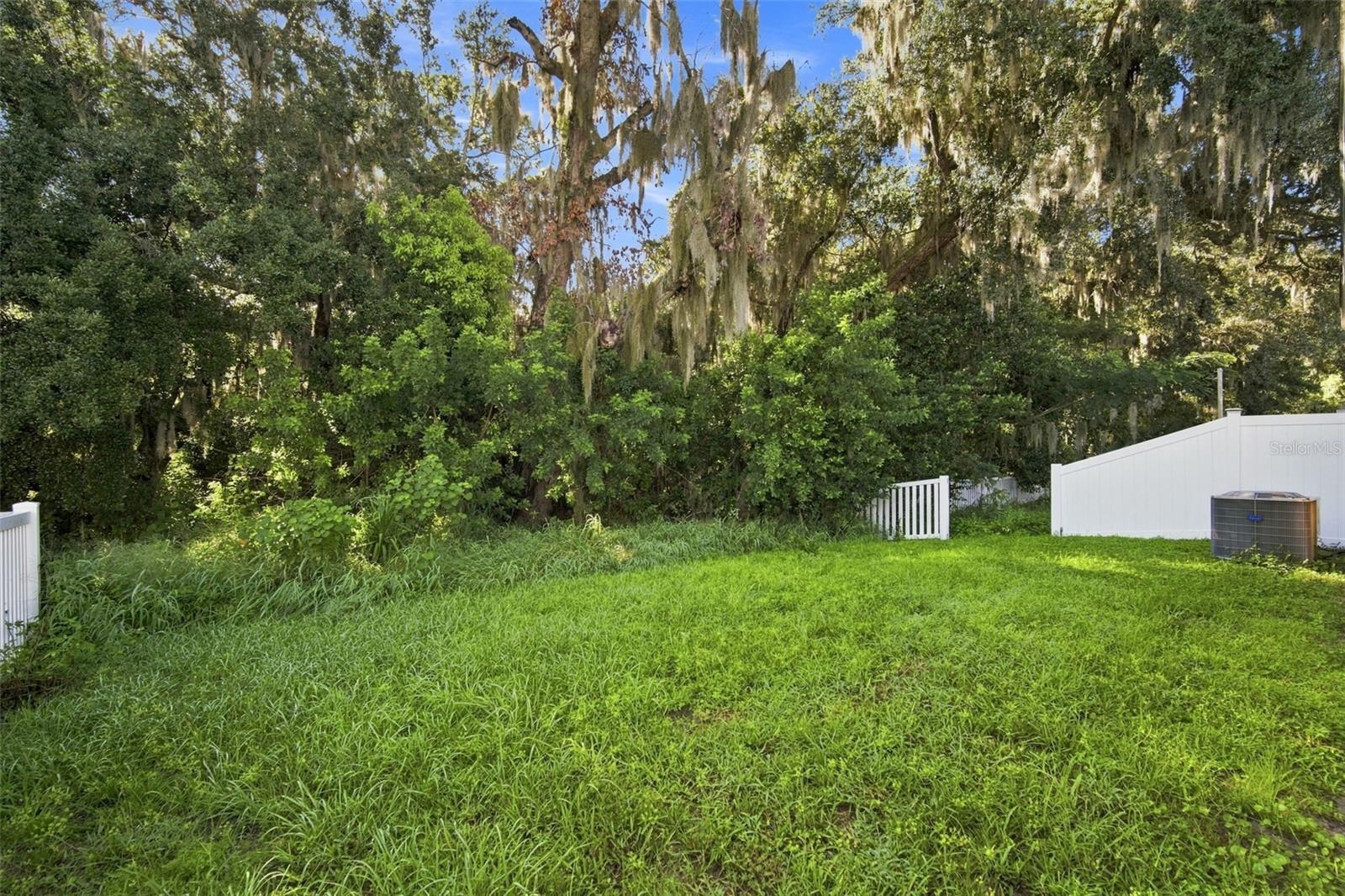 10920 CARLTON FIELDS DR — photo 36