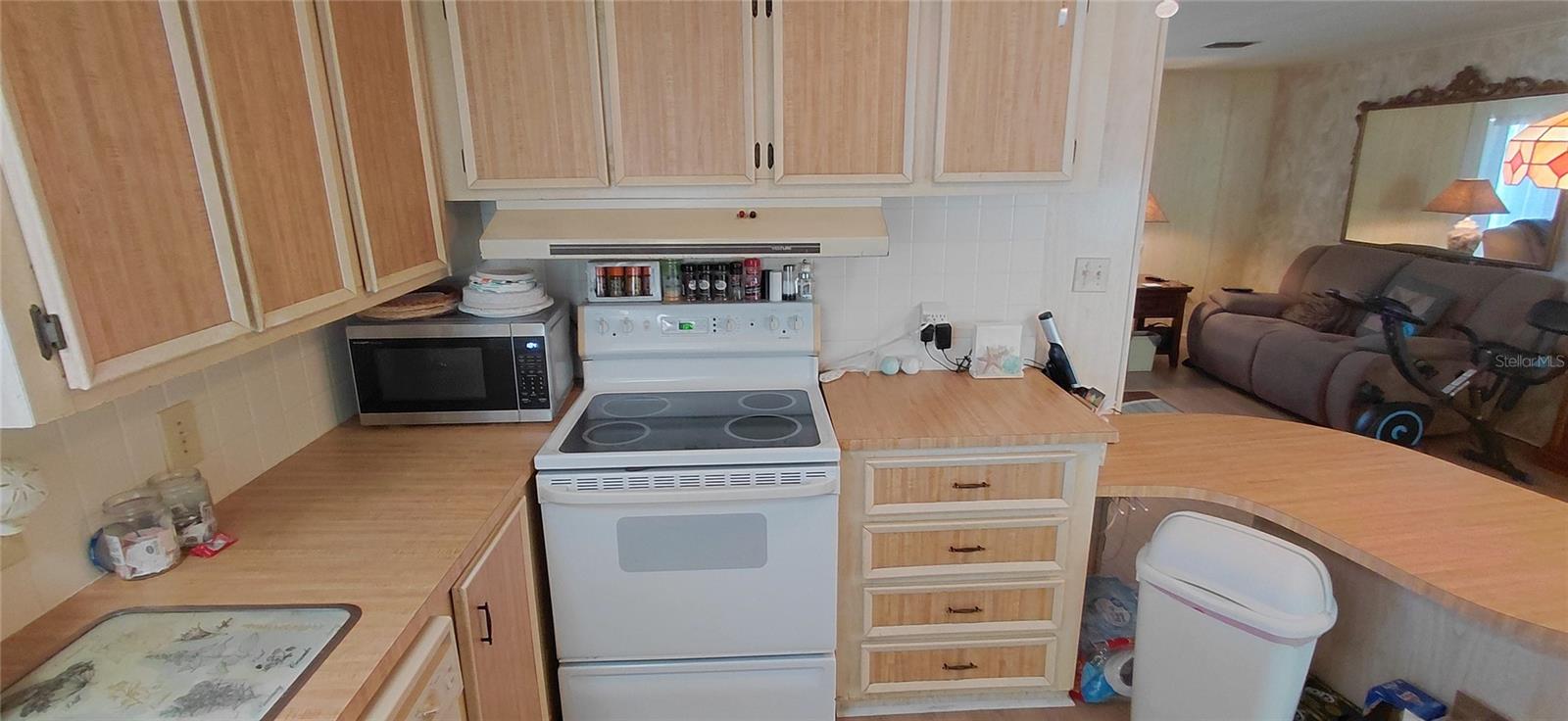 7777 46TH AVE N #13 — photo 10
