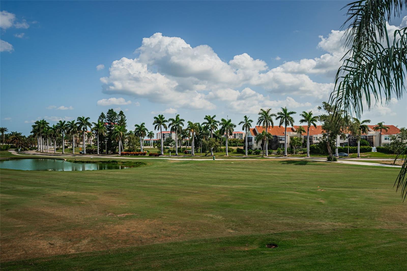 6020 BAHIA DEL MAR CIR #226 — photo 23