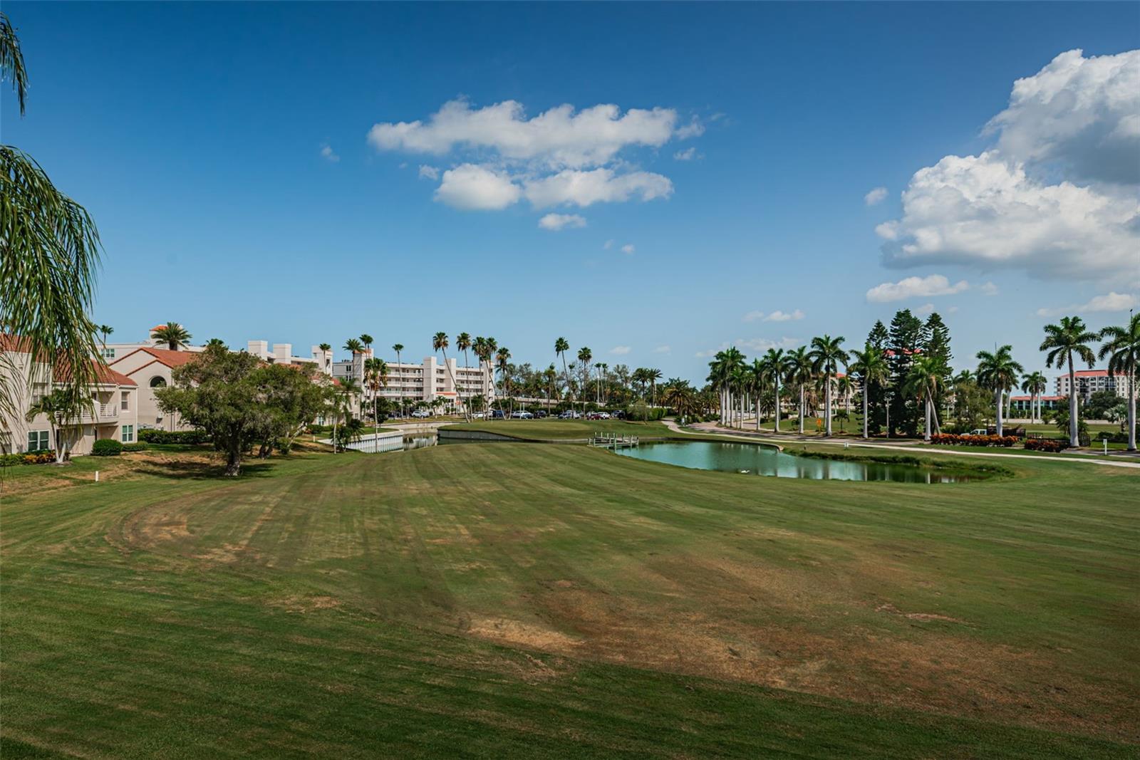 6020 BAHIA DEL MAR CIR #226 — photo 5