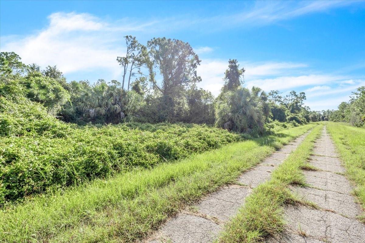 LOT 5 BIGNAY RD — photo 4