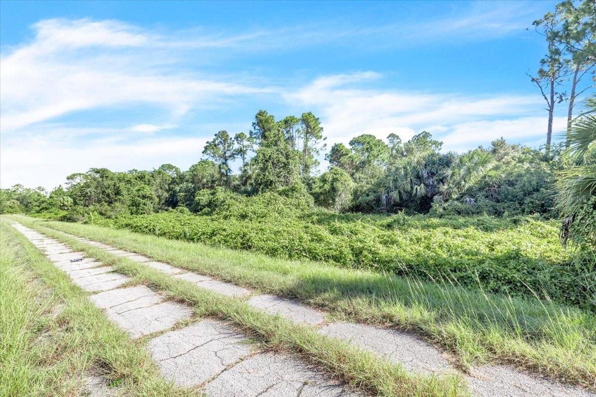 LOT 5 BIGNAY RD — photo 6