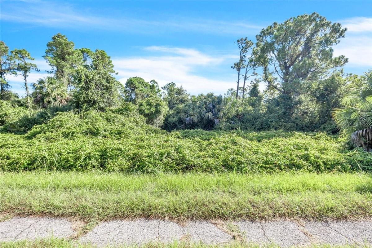LOT 5 BIGNAY RD — photo 5
