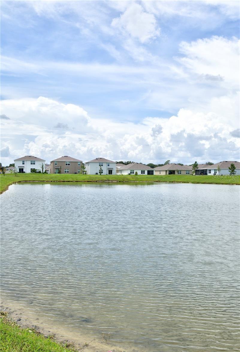 35712 DOVELAND DR — photo 24