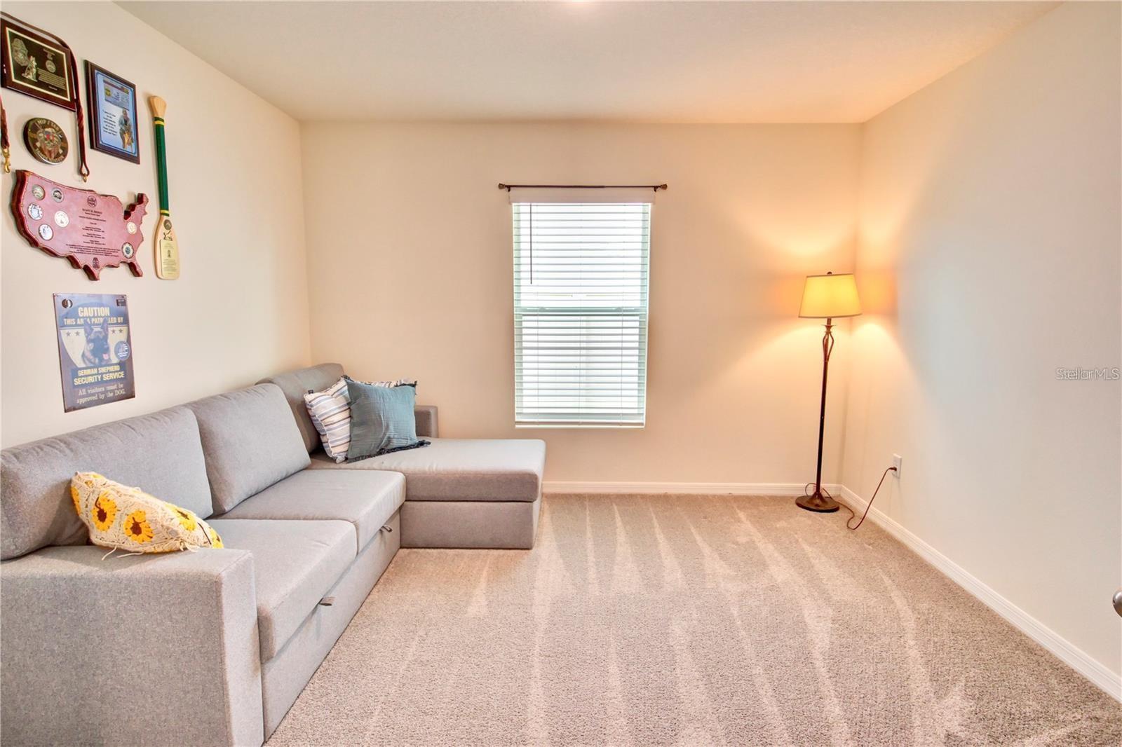 35712 DOVELAND DR — photo 17