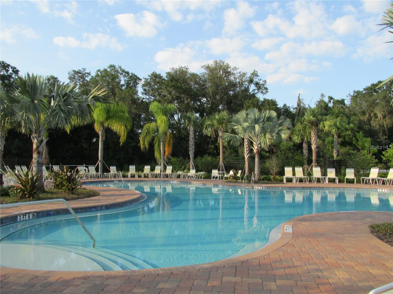35712 DOVELAND DR — photo 30