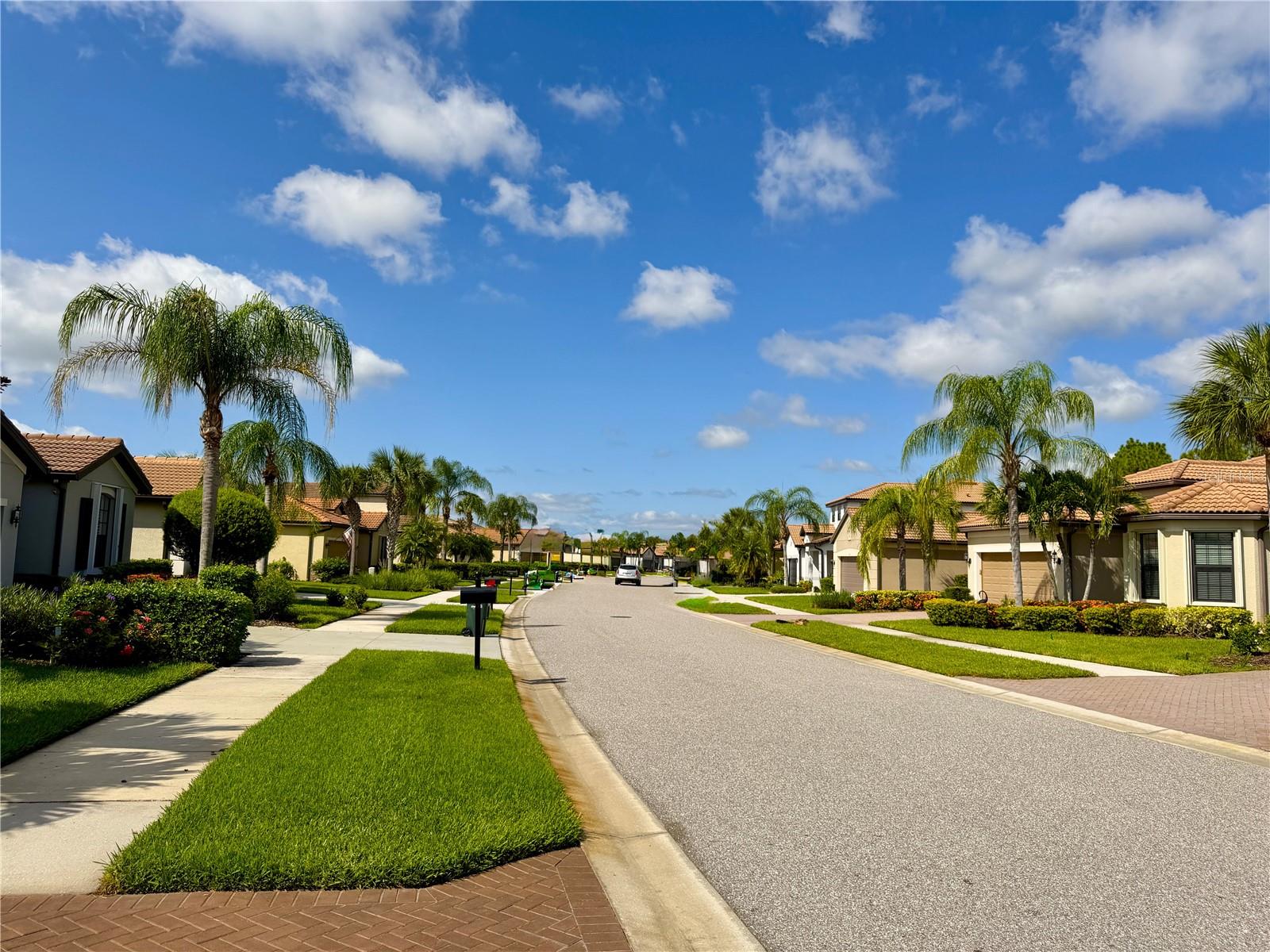 2436 ARUGULA DR — photo 43