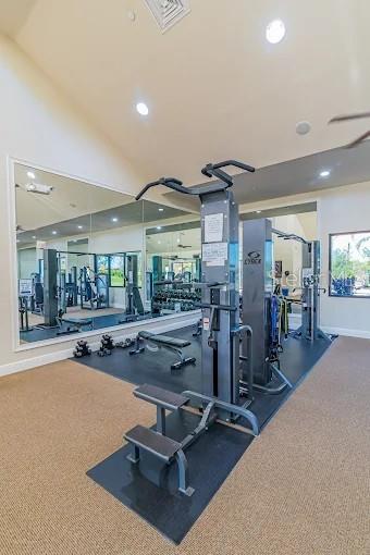 2436 ARUGULA DR — photo 51