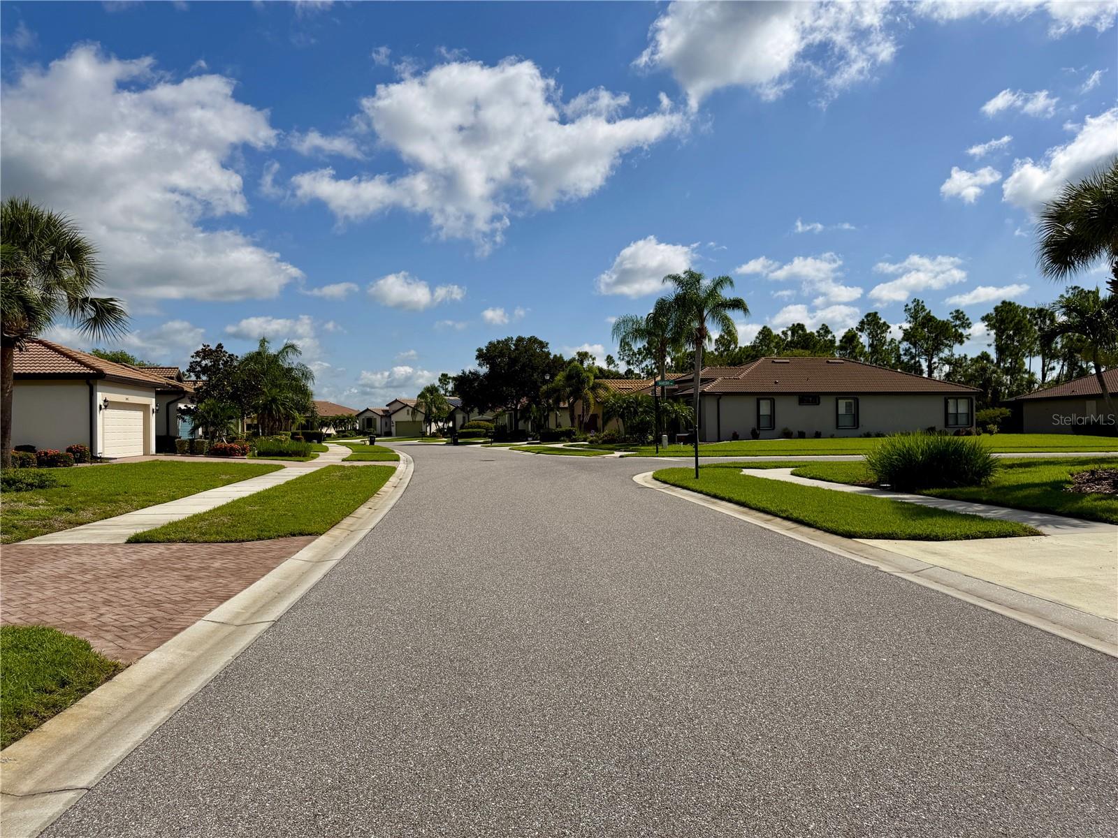 2436 ARUGULA DR — photo 41