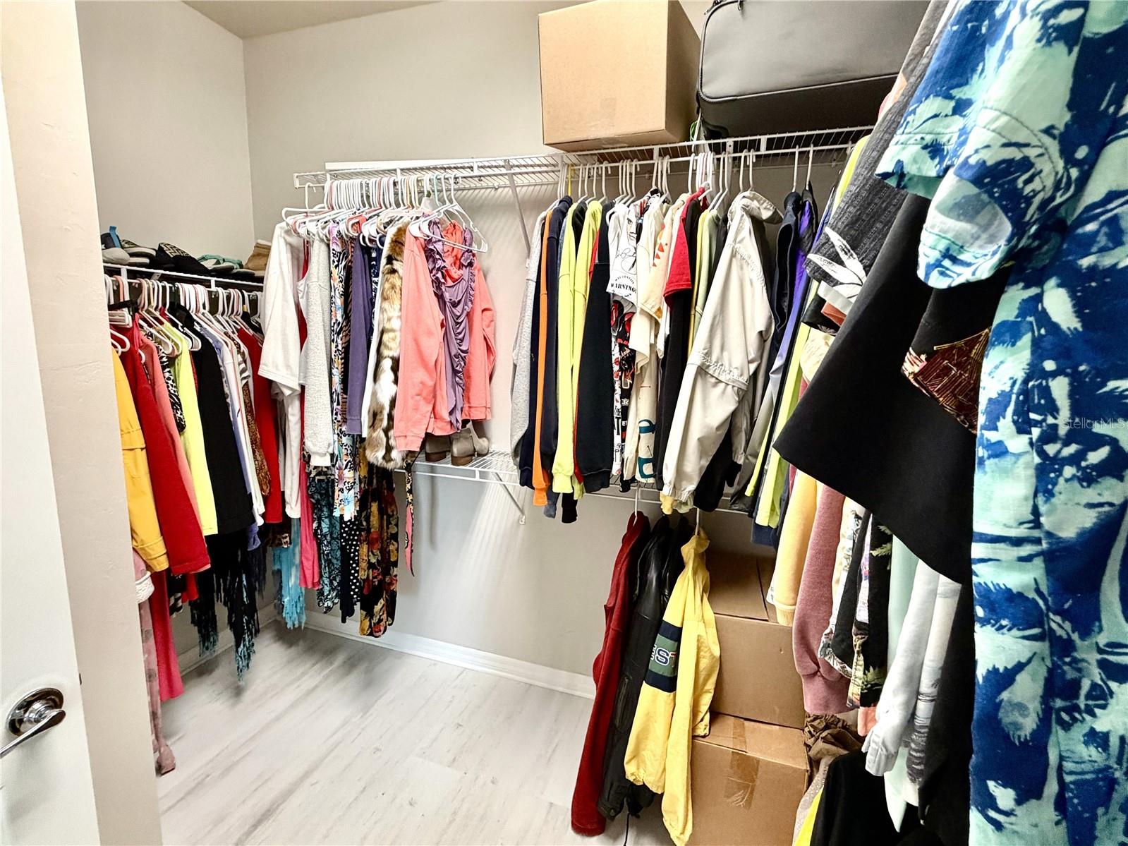 2436 ARUGULA DR — photo 19