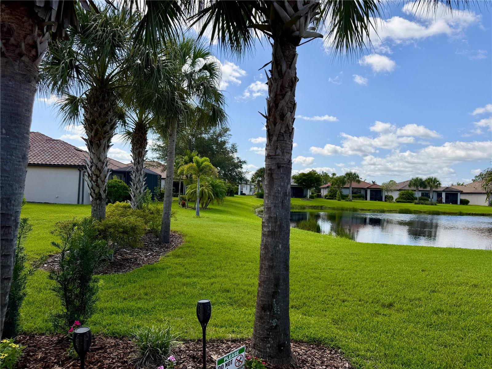 2436 ARUGULA DR — photo 32