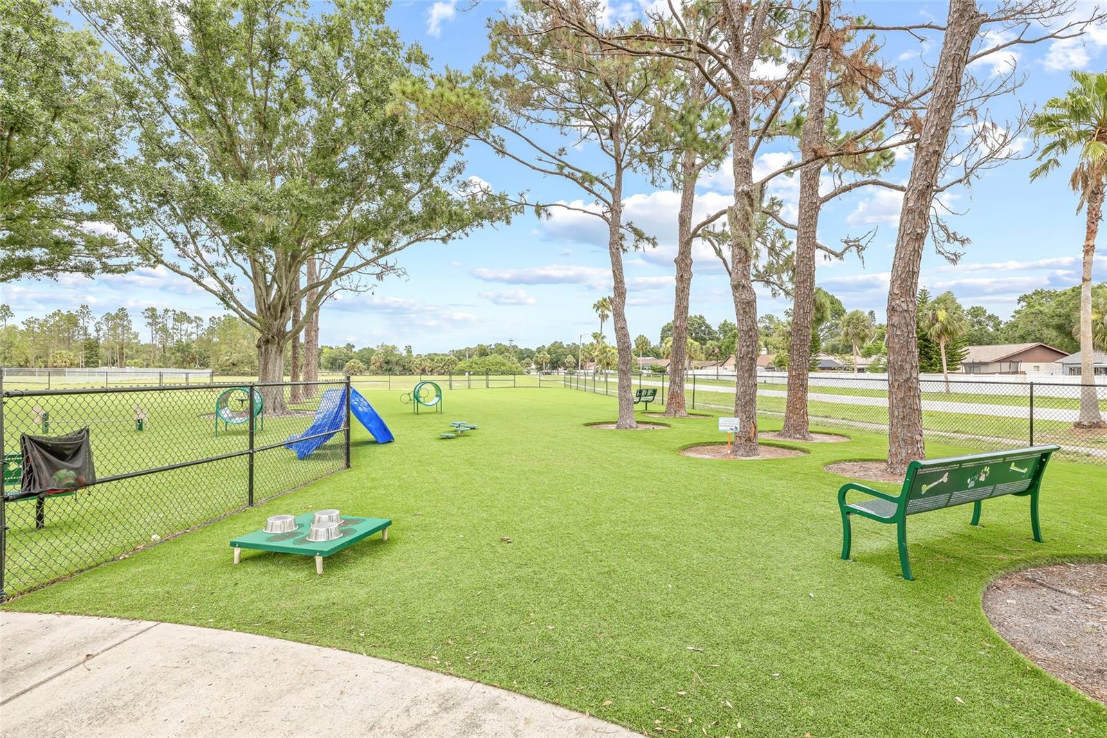 12942 UTOPIA GARDENS WAY — photo 45