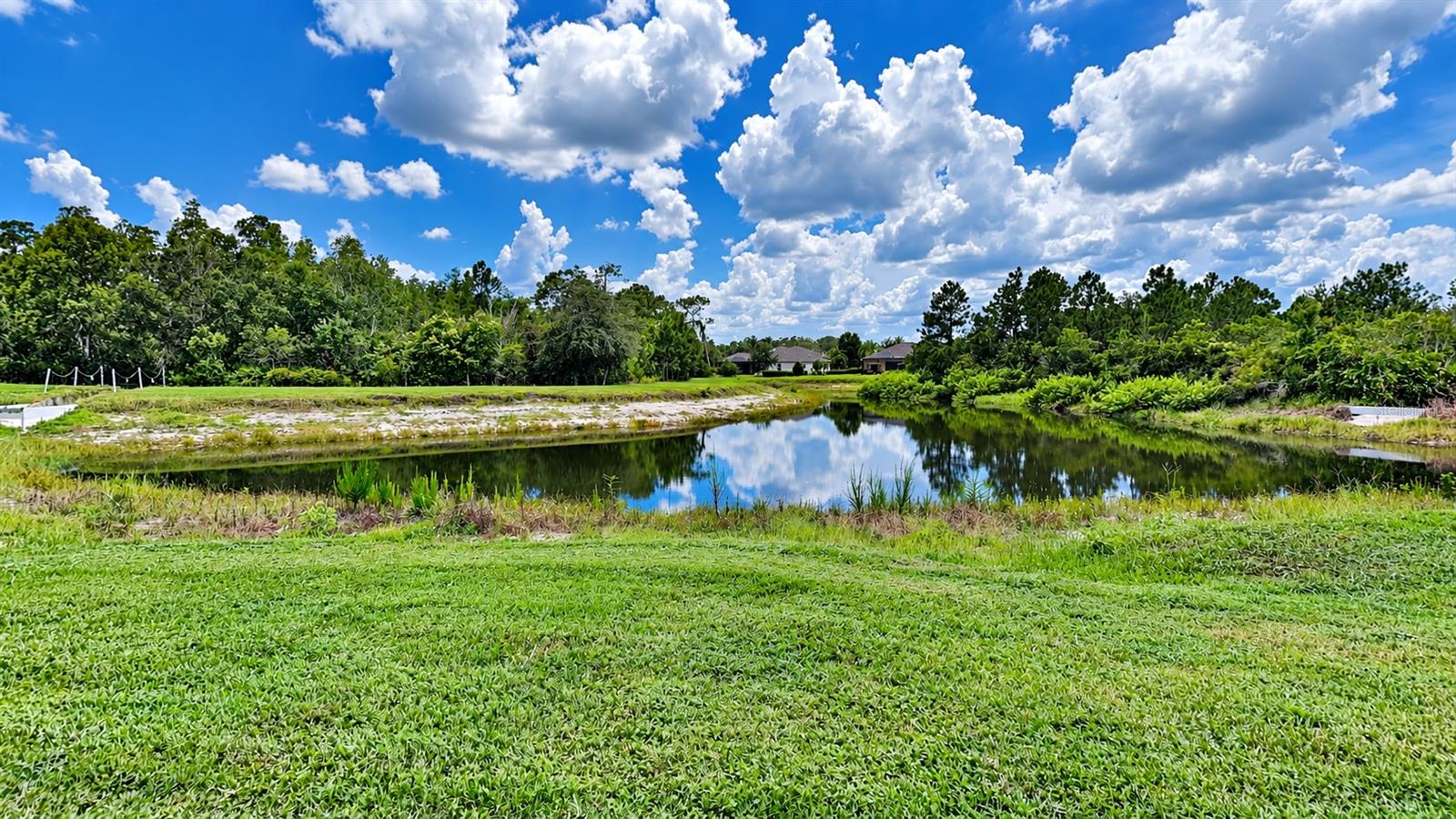 9609 ROYAL FERN CT — photo 16