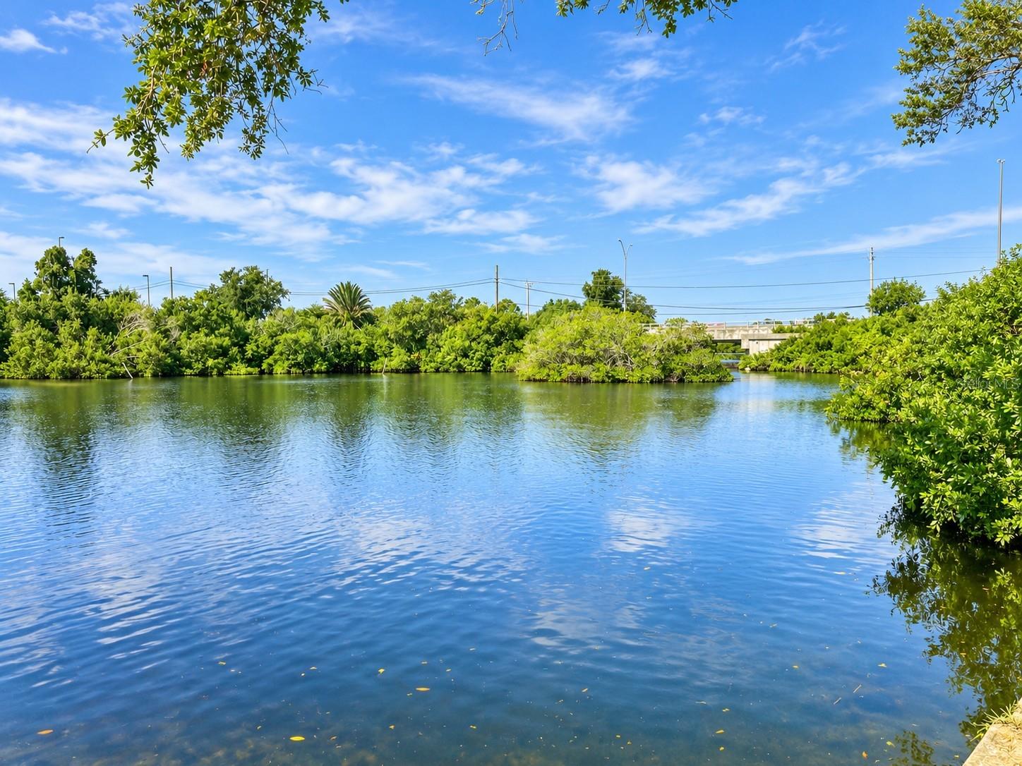 LOT 12 MONTCLAIR DR — photo 8