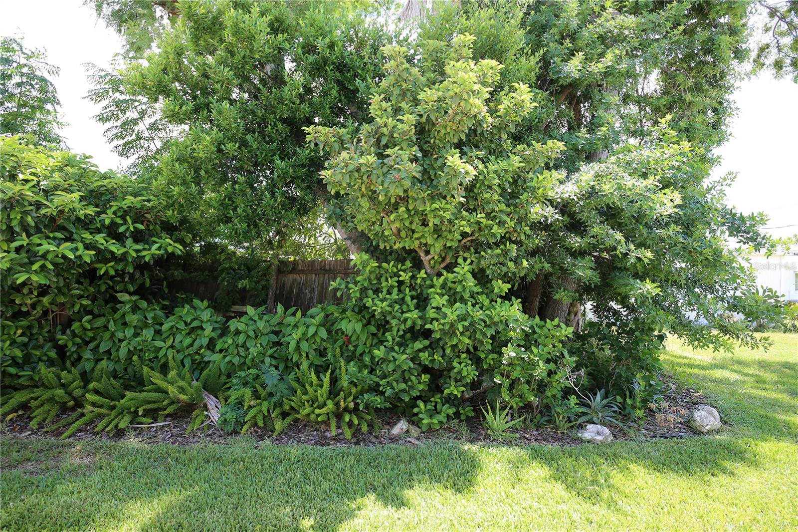 6105 CORAL WAY — photo 6