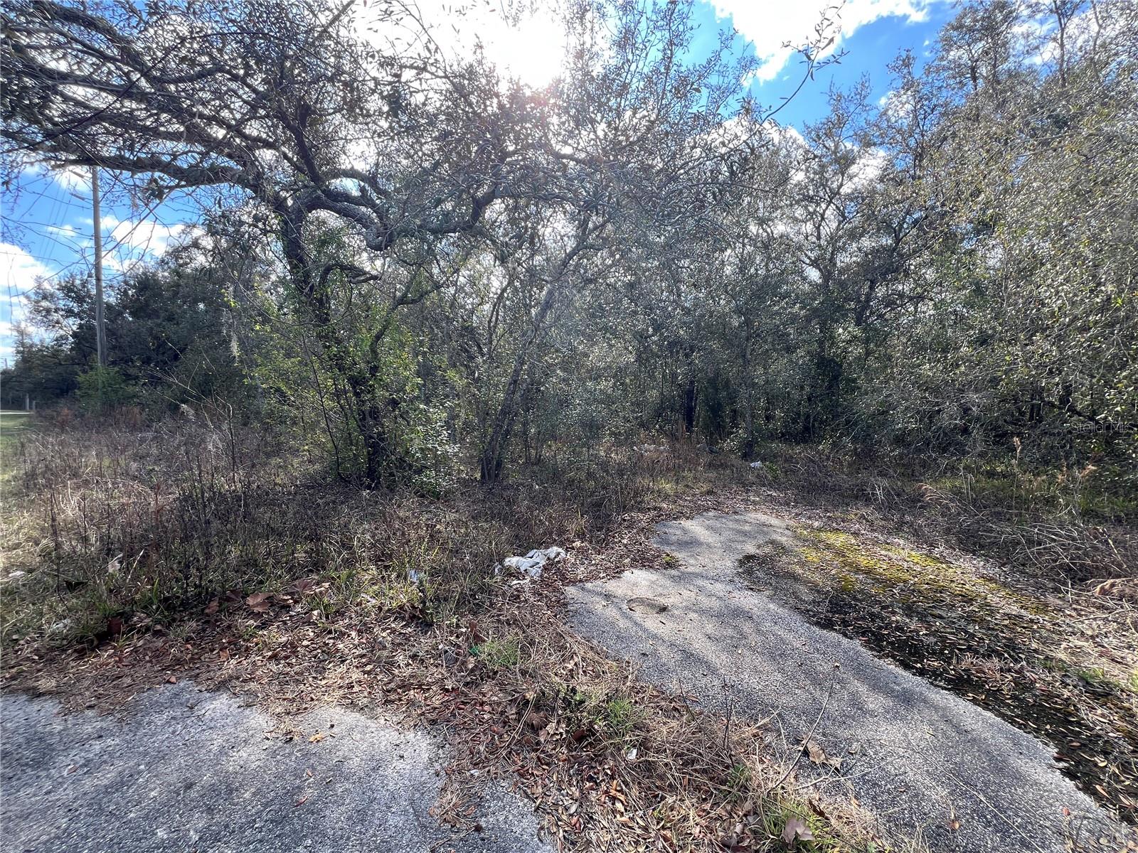 LOT 7 HAYS RD — photo 2