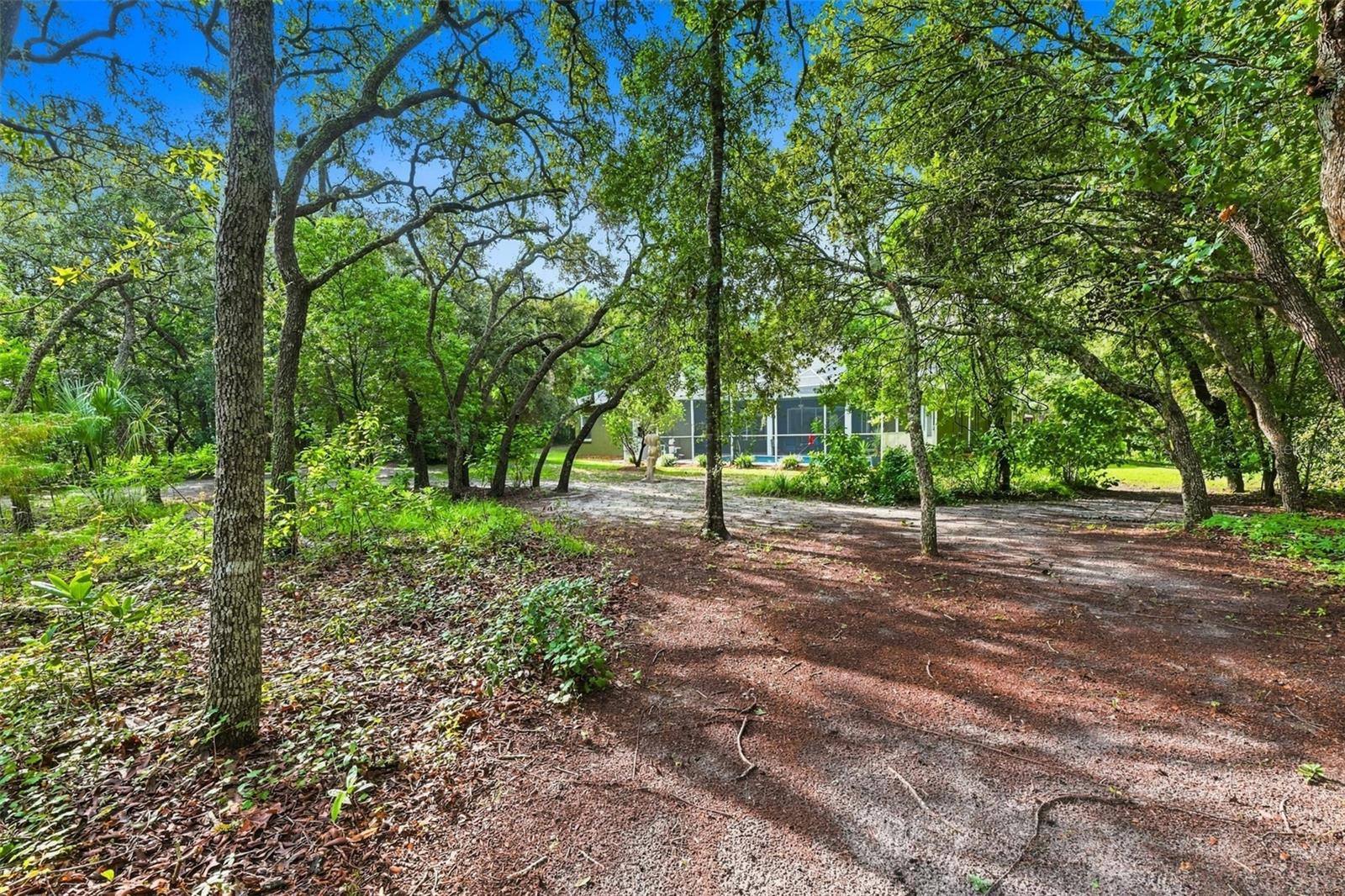 16547 CROSSANDRA LN — photo 47