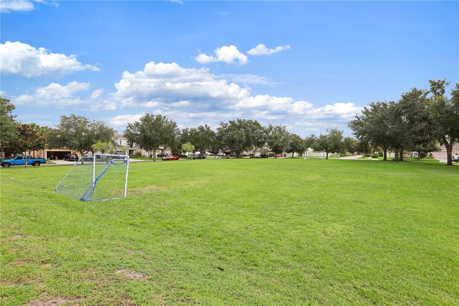 17527 BRIGHT WHEAT DR — photo 46