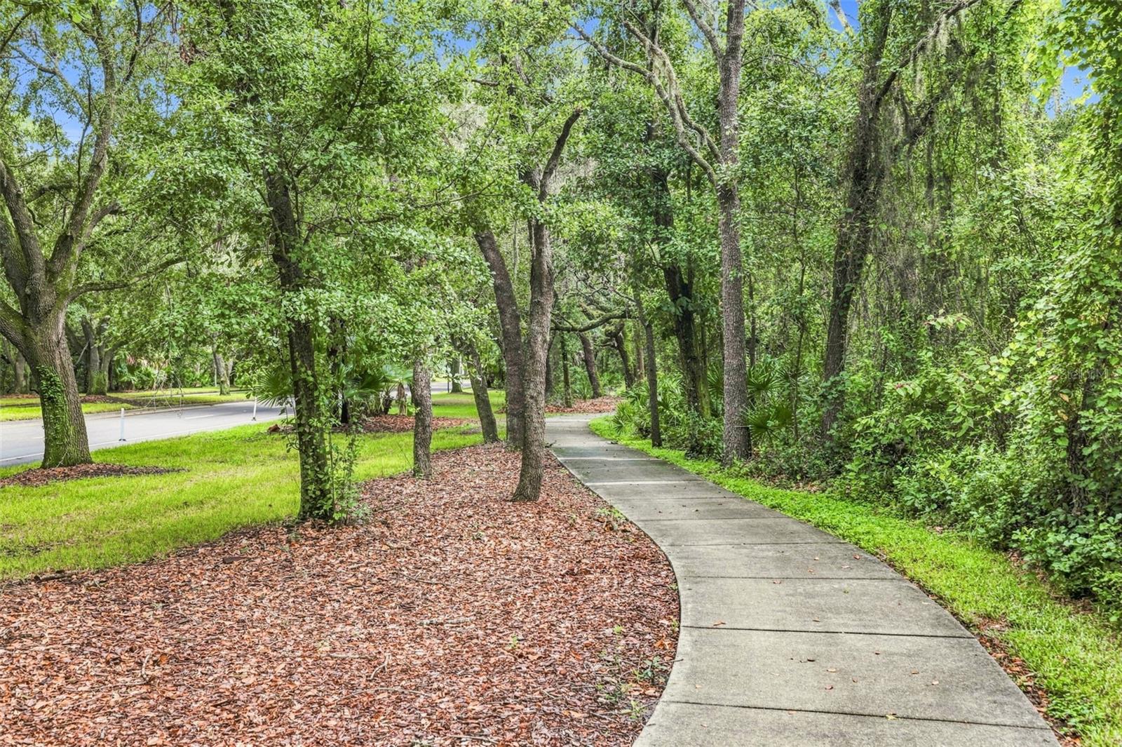 6104 PARKSET DR — photo 56