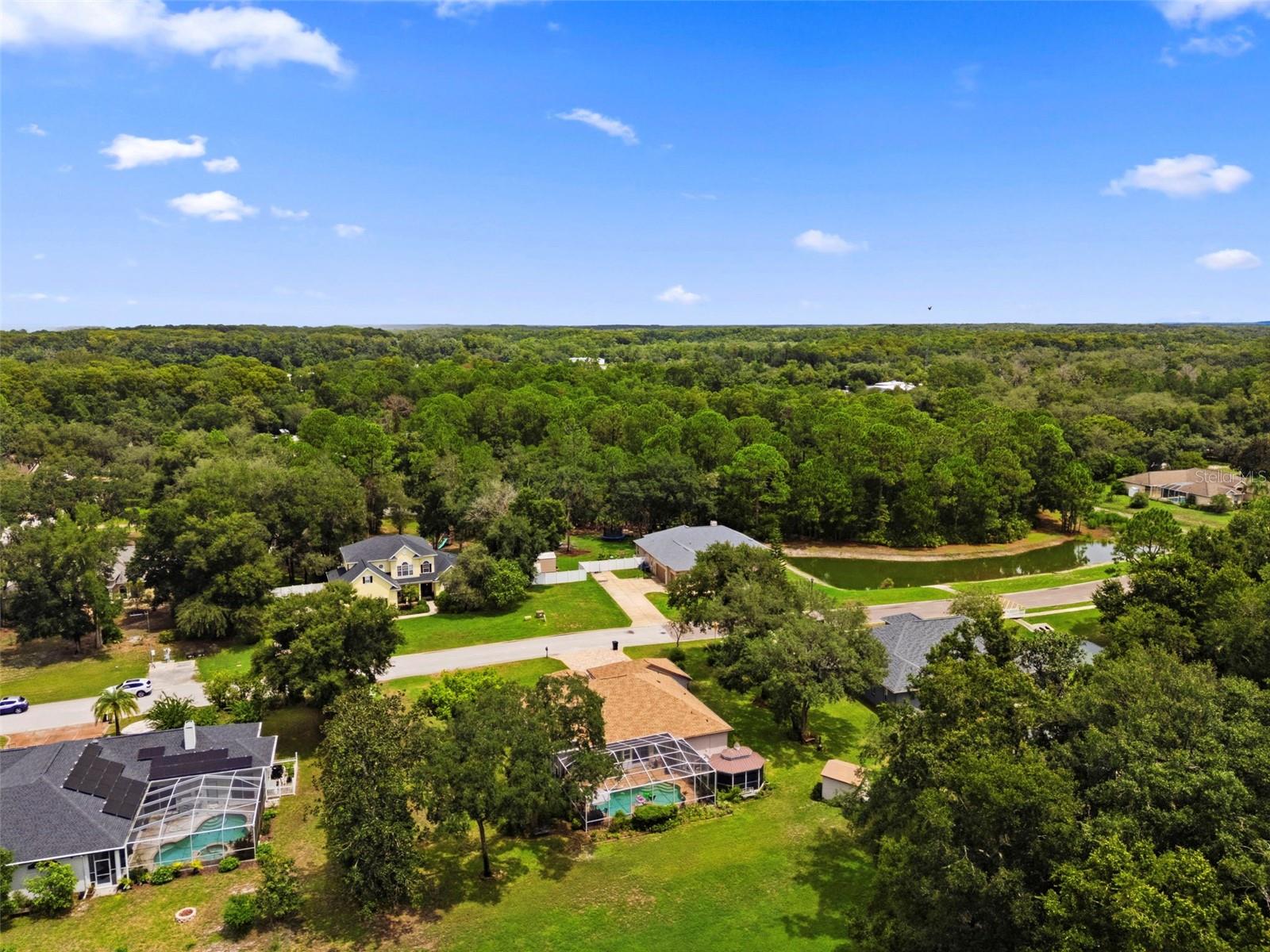 10531 MIRACLE LN — photo 64