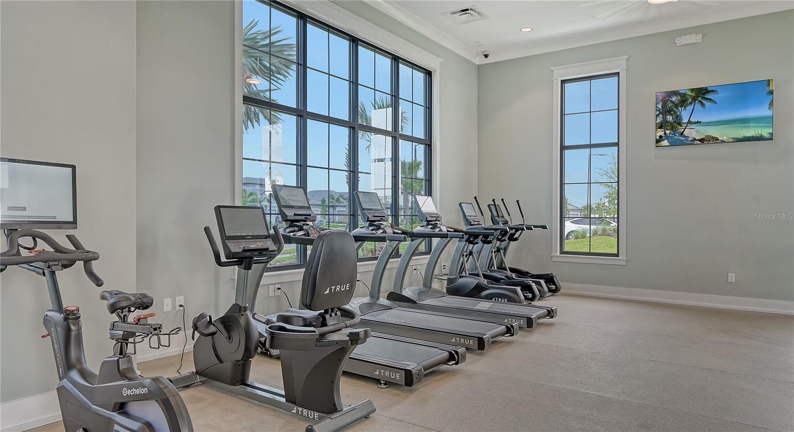 17675 SAVORY MIST CIR — photo 46