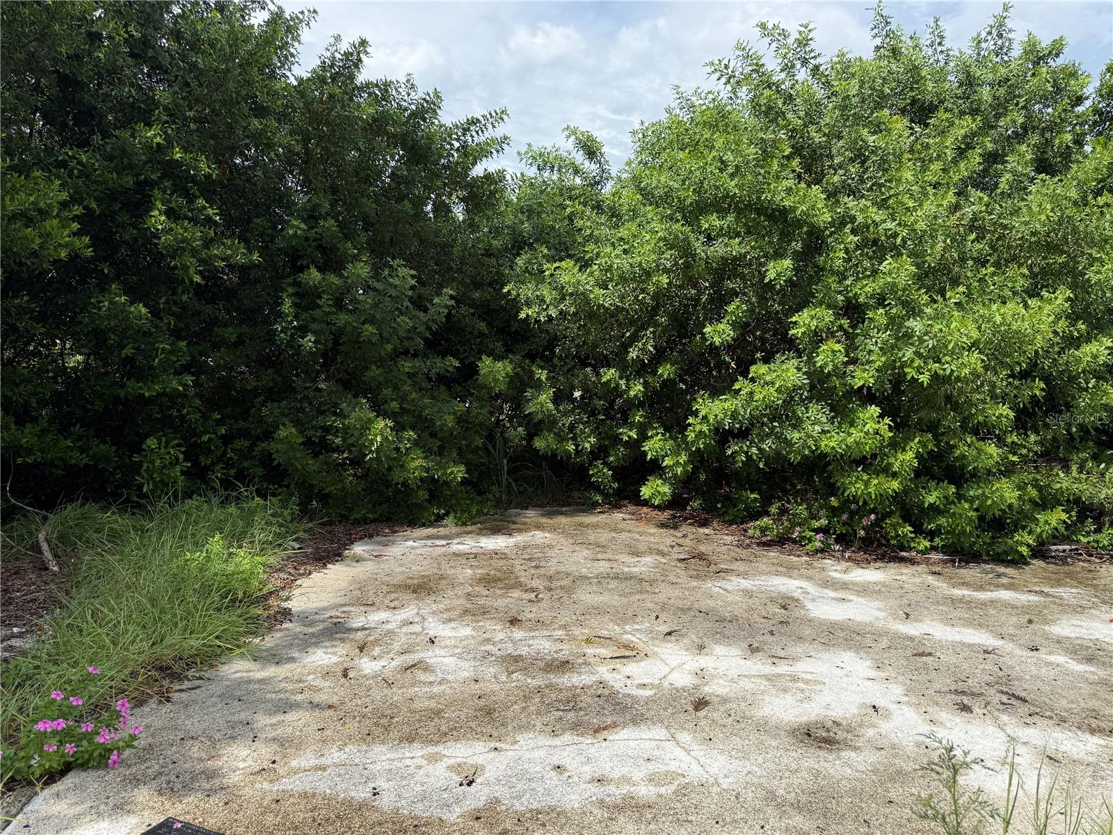 3621 ANNONA CT — photo 3