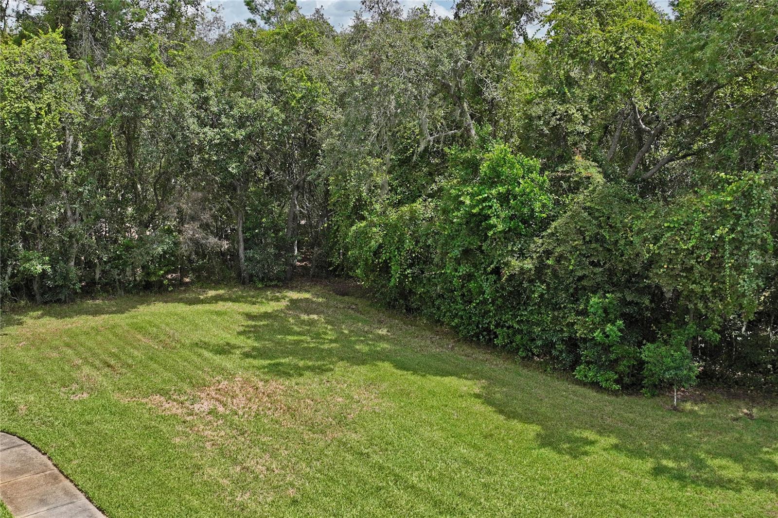 10447 GRANNING LN — photo 7