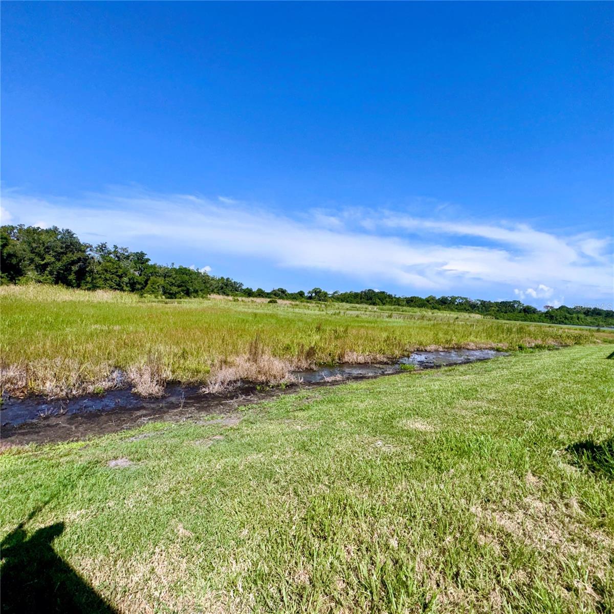 6711 TRENT CREEK DR — photo 61