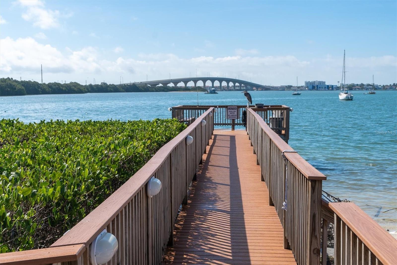 6287 BAHIA DEL MAR CIR #401 — photo 48