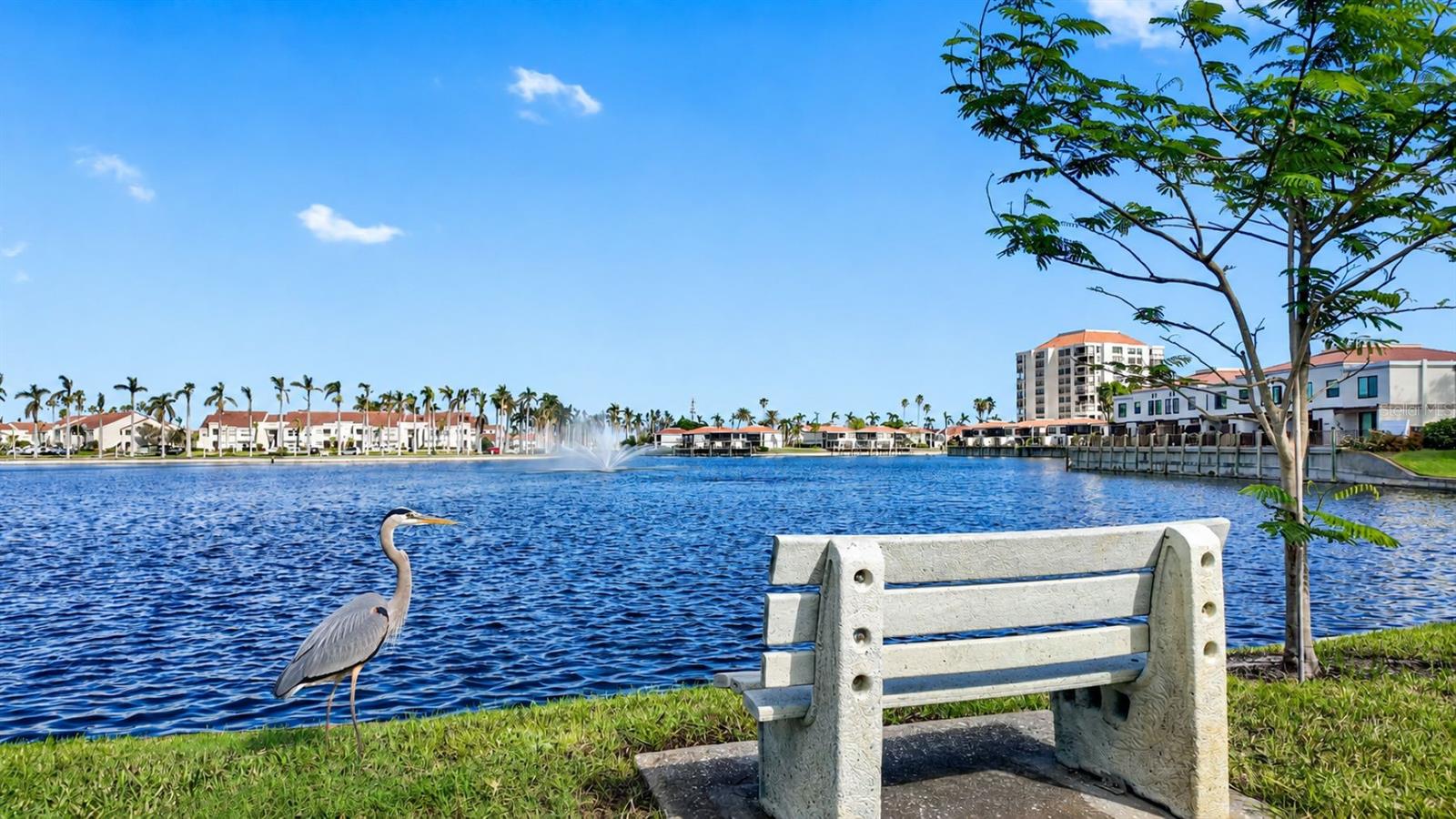 6287 BAHIA DEL MAR CIR #401 — photo 46