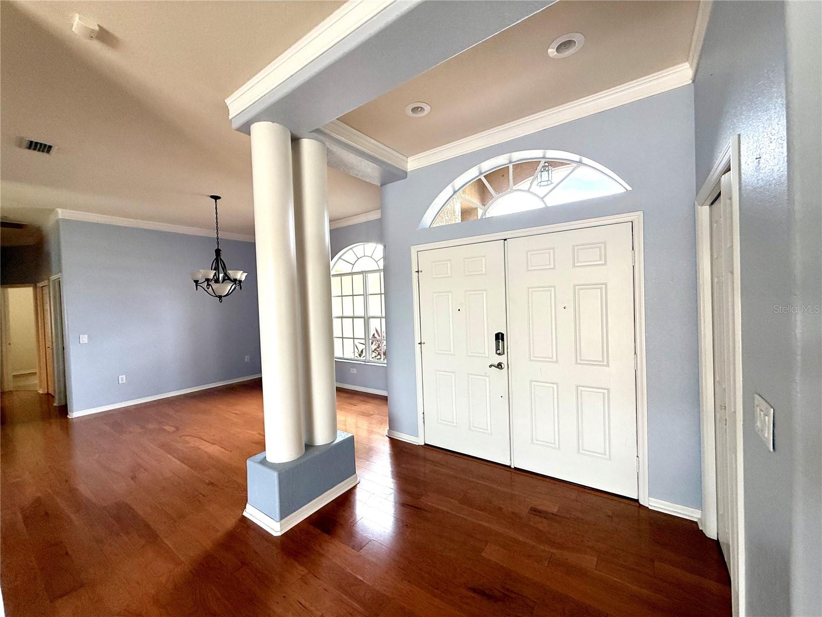 3735 GAVIOTA DR — photo 5