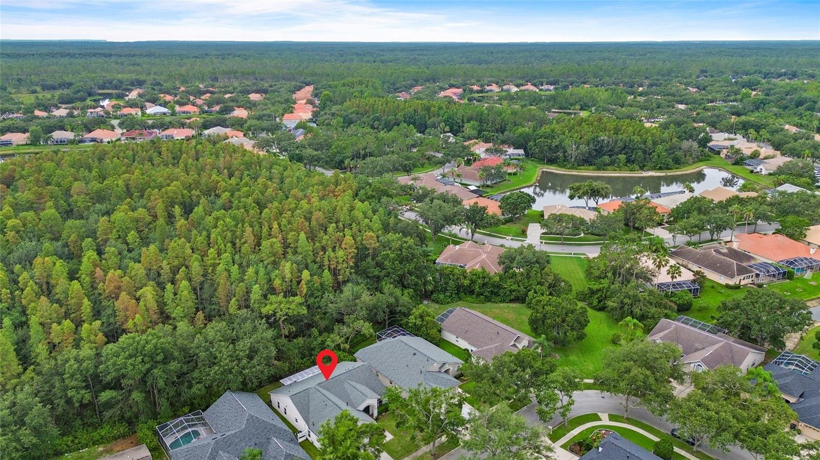 10217 TIMBERLAND POINT DR — photo 40