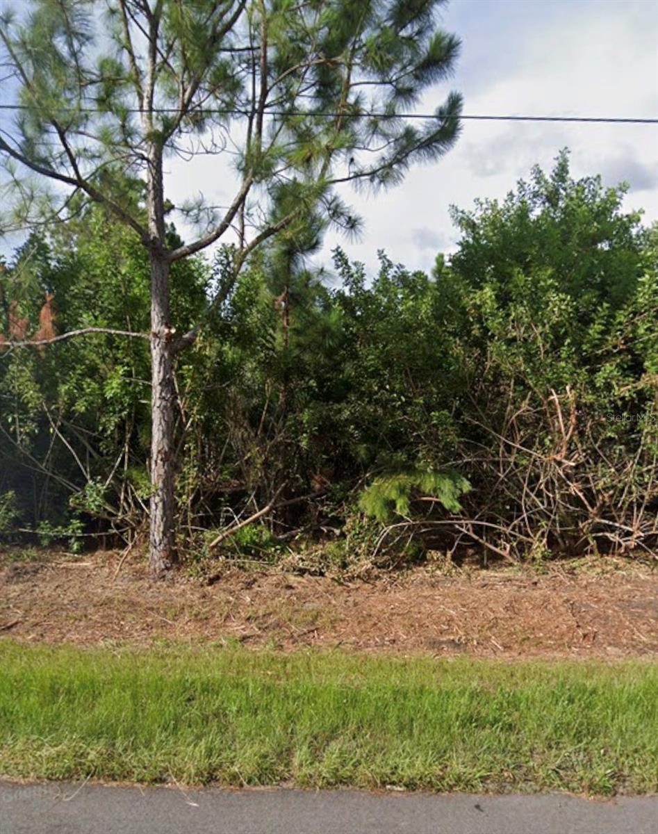 SAGINAW RD — photo 3