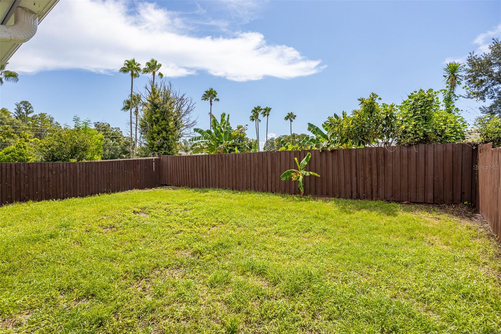 22836 MARSH WREN DR — photo 26