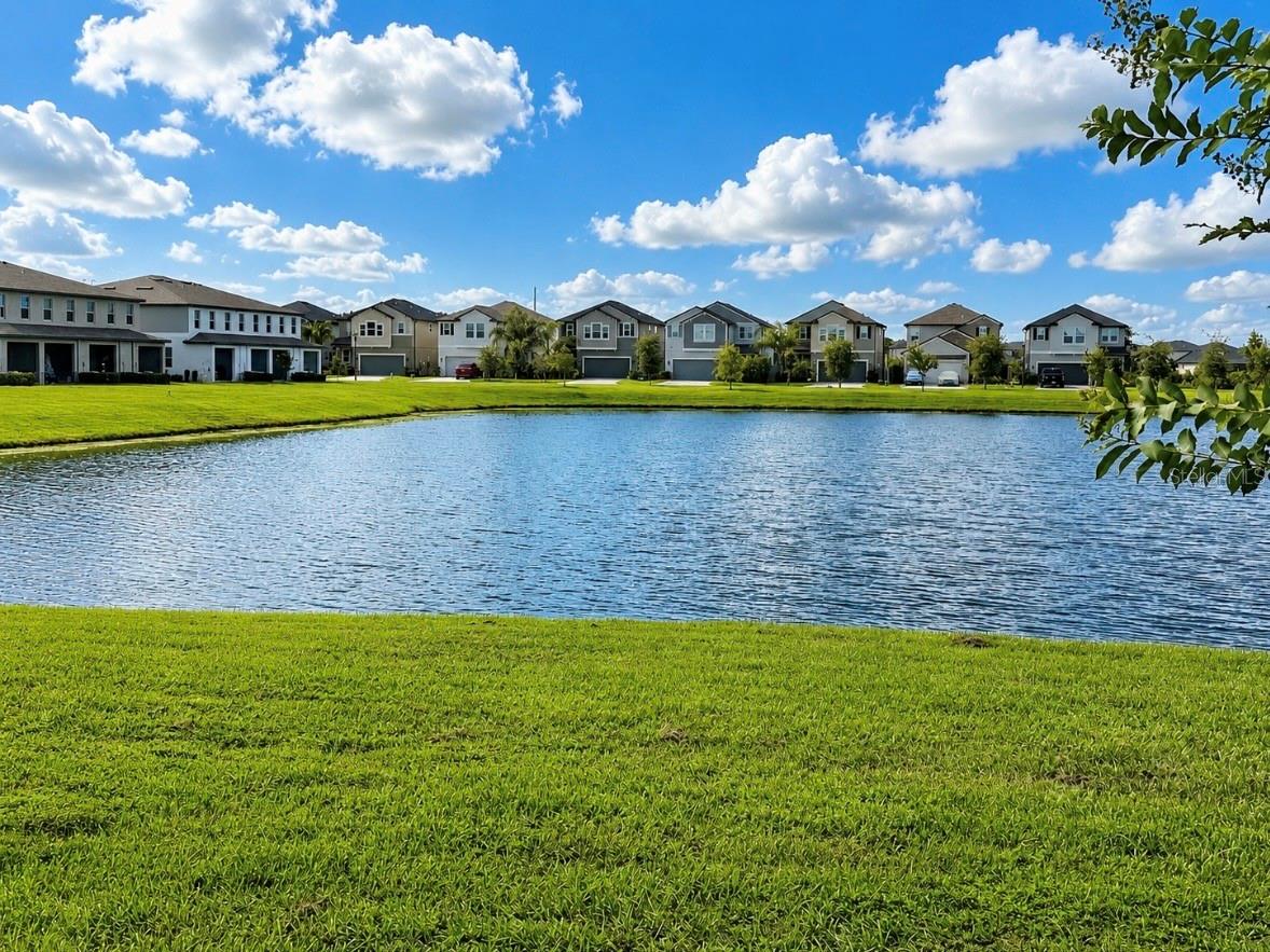 8212 CRESCENT OAKS DR — photo 39