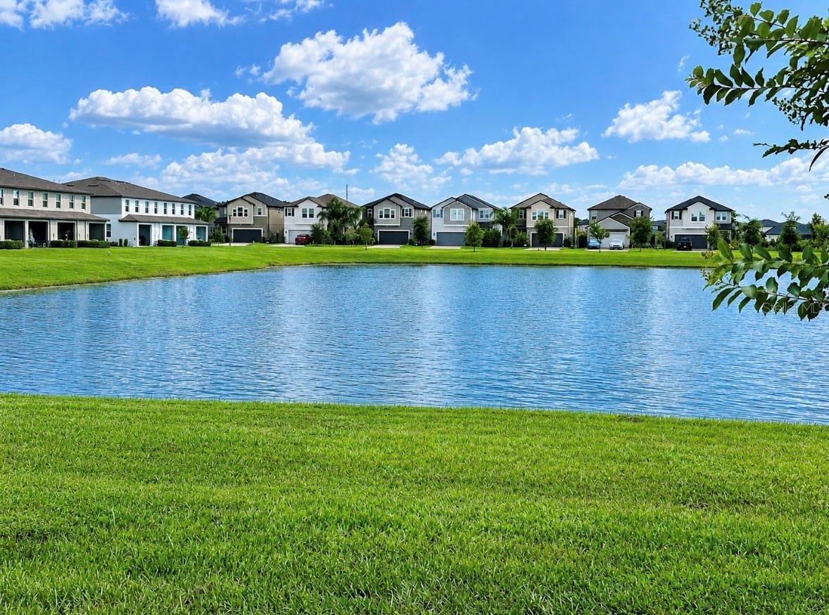 8212 CRESCENT OAKS DR — photo 37