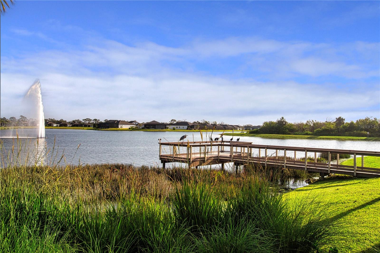 9315 BARRIER COAST TRL — photo 74