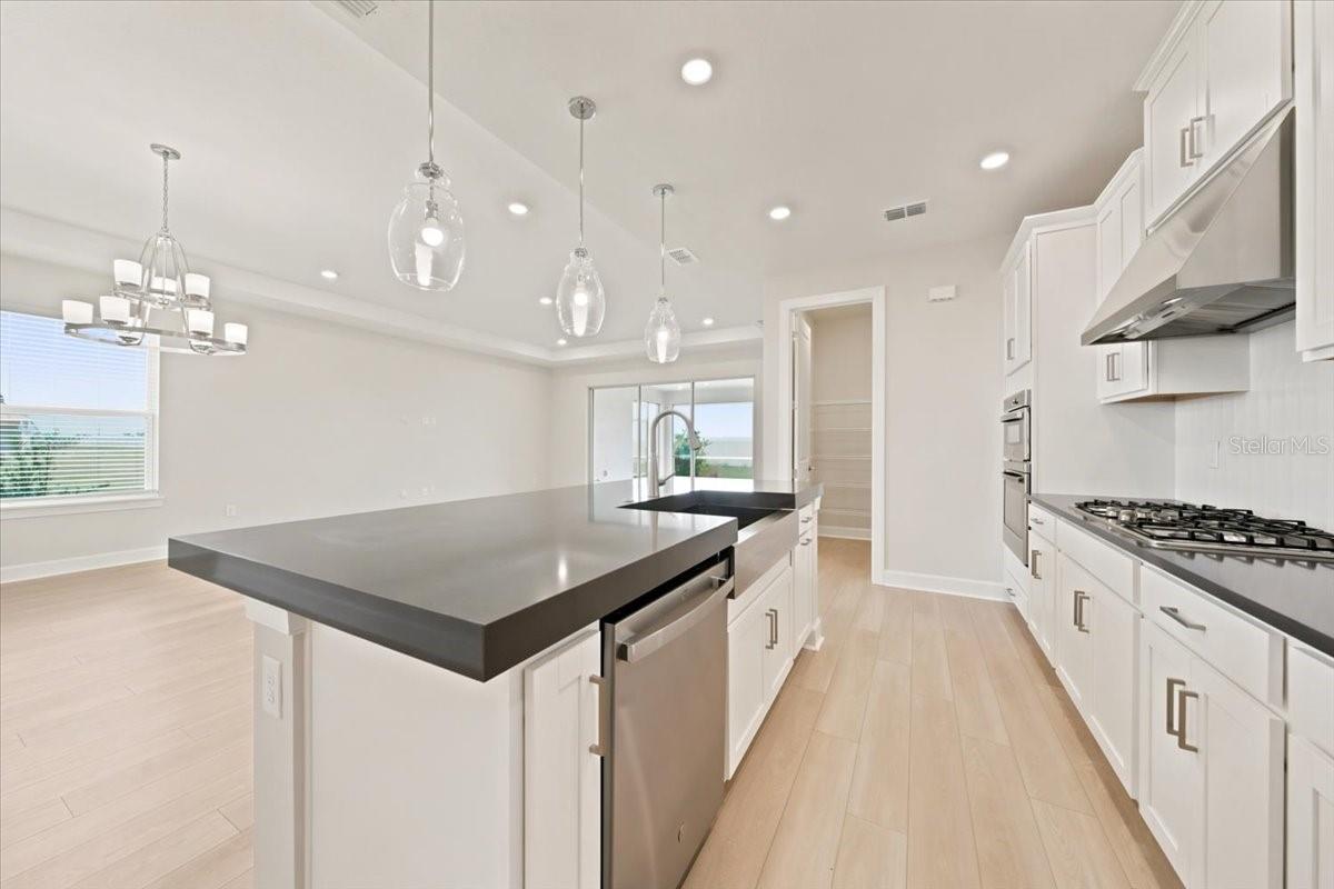 7804 CASPIAN — photo 17