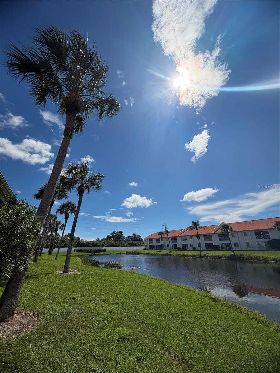 4268 MADEIRA CT #3324 — photo 55