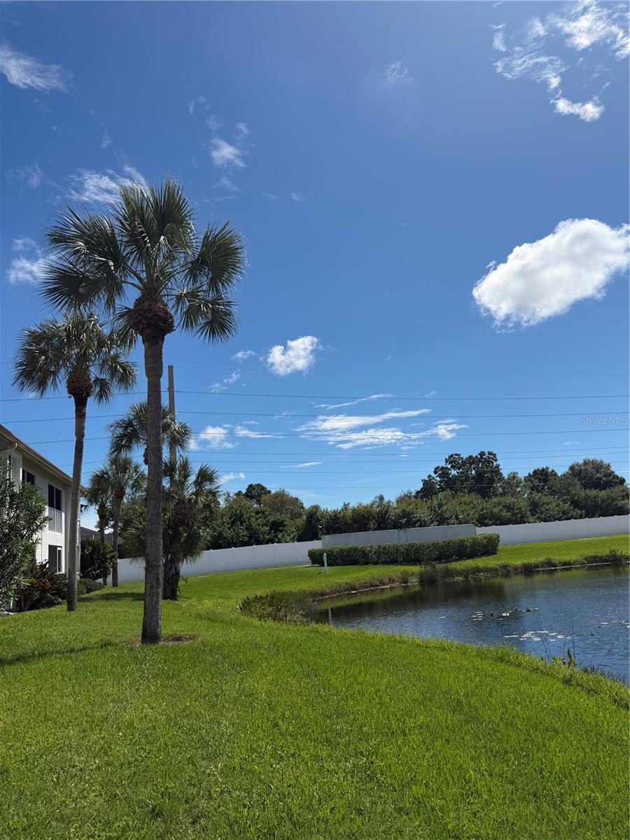 4268 MADEIRA CT #3324 — photo 63