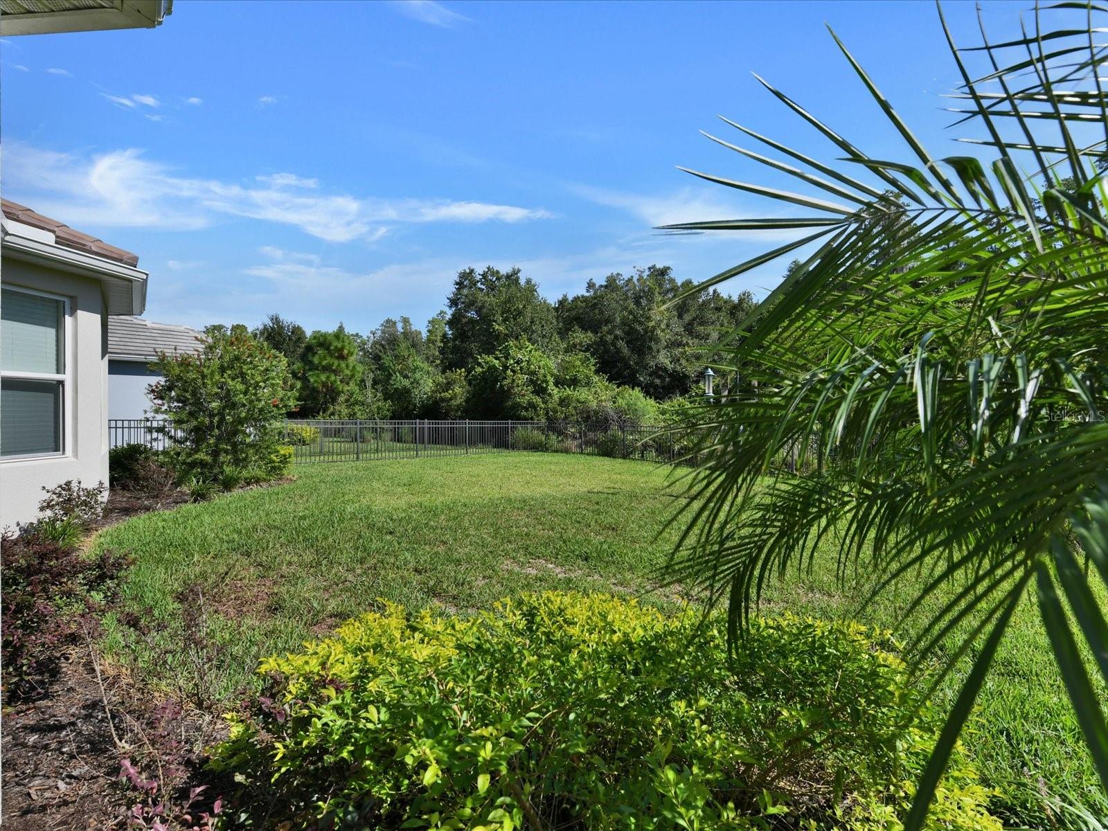 29735 CASSINO CT — photo 54