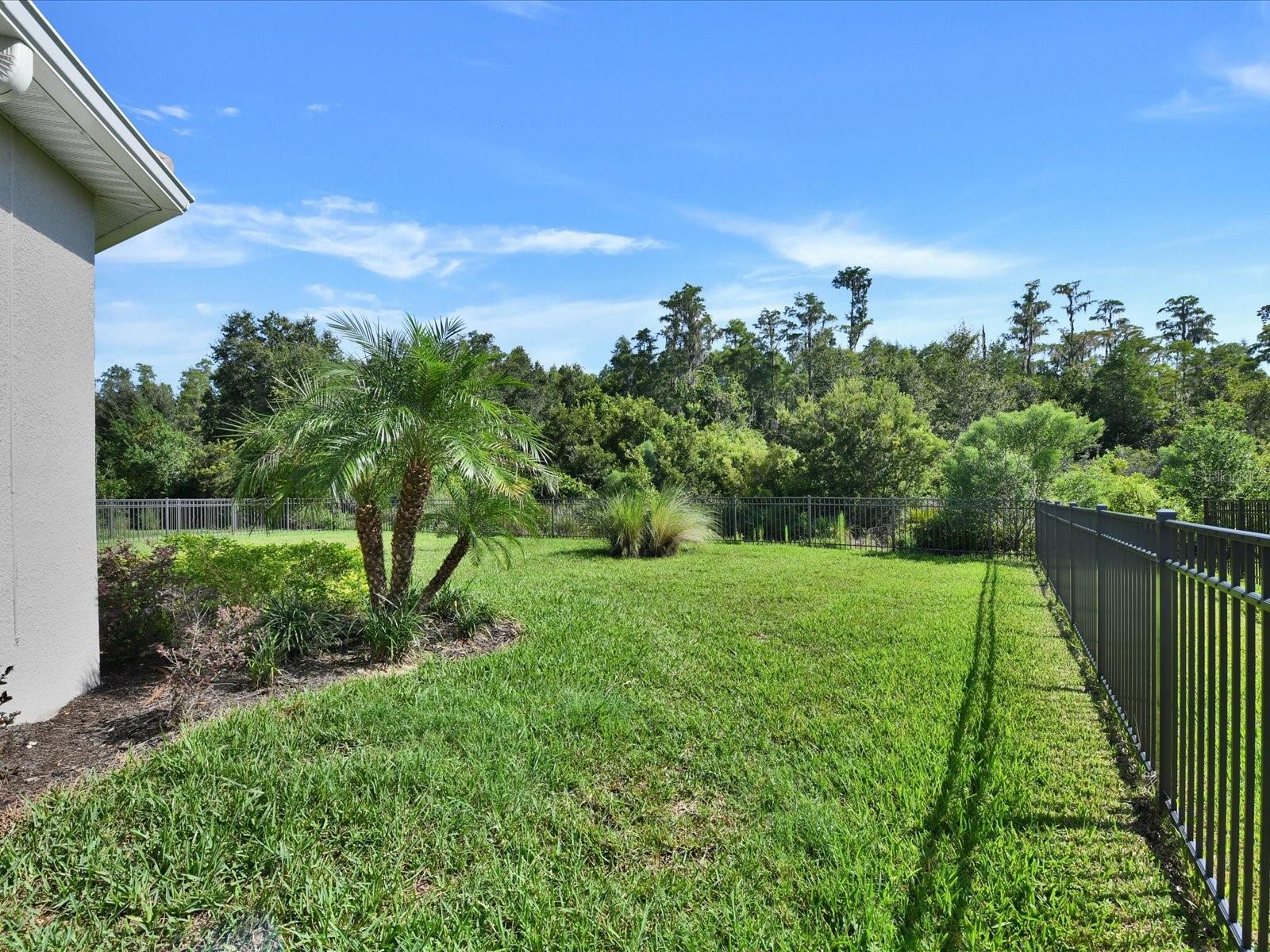 29735 CASSINO CT — photo 55