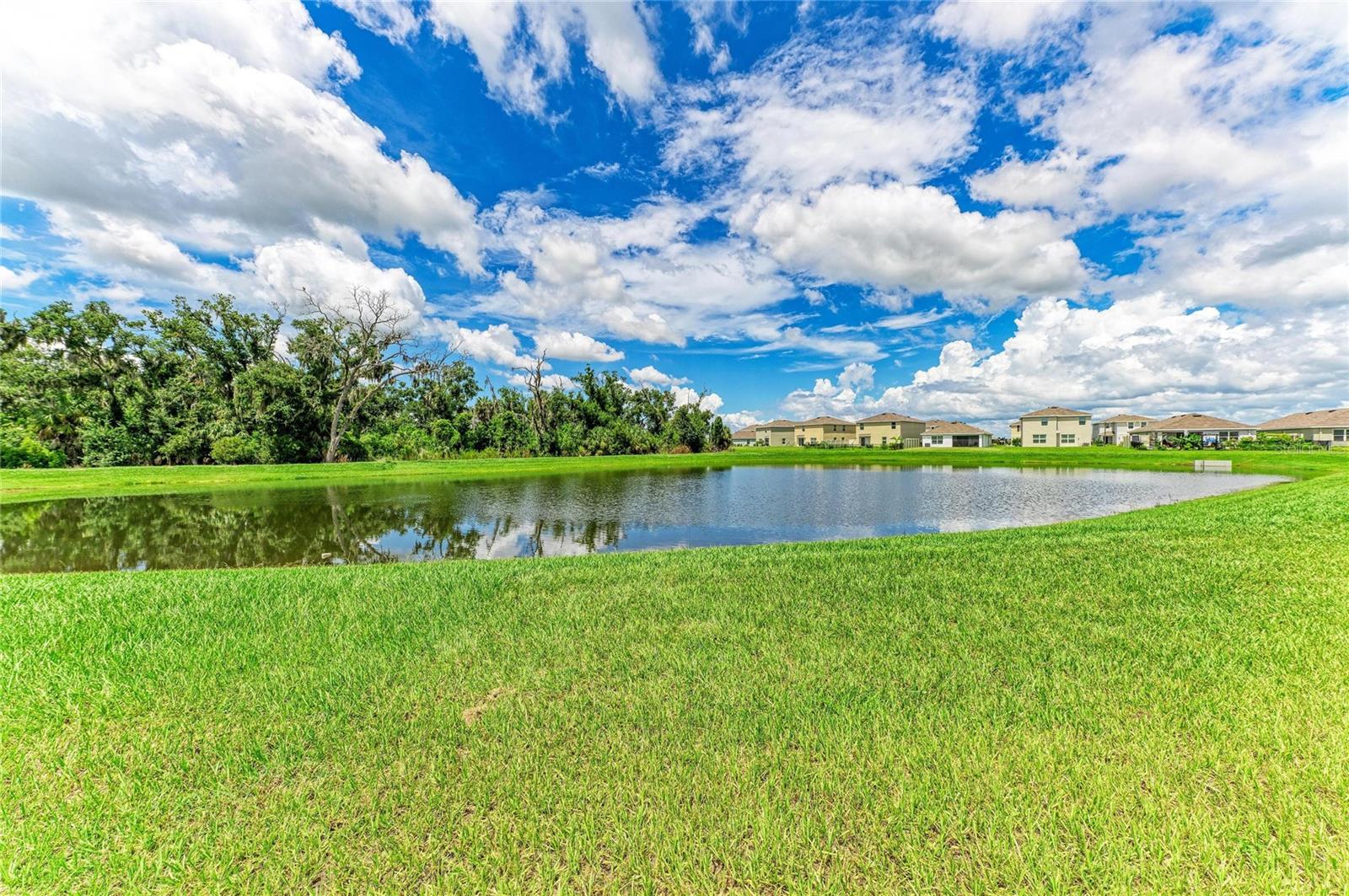 12256 MOUNTAIN ISLAND TRL — photo 27