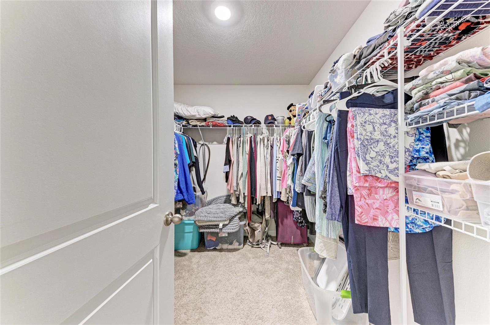 12256 MOUNTAIN ISLAND TRL — photo 14