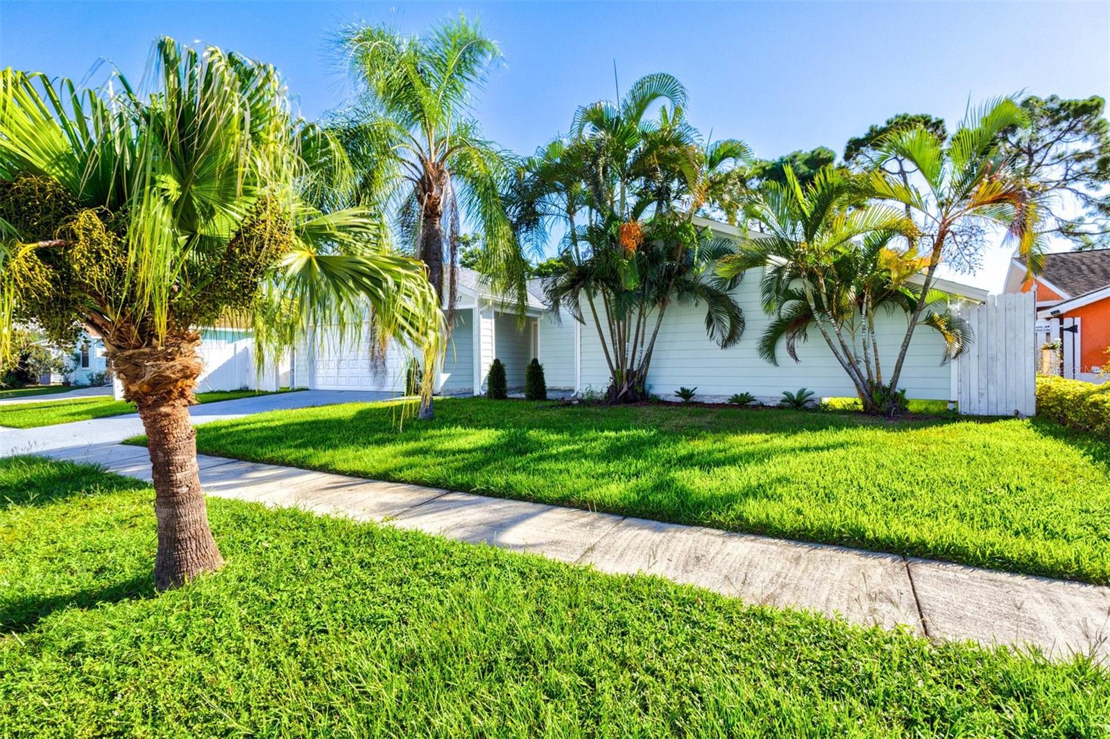 6617 MAUNA LOA BLVD — photo 52