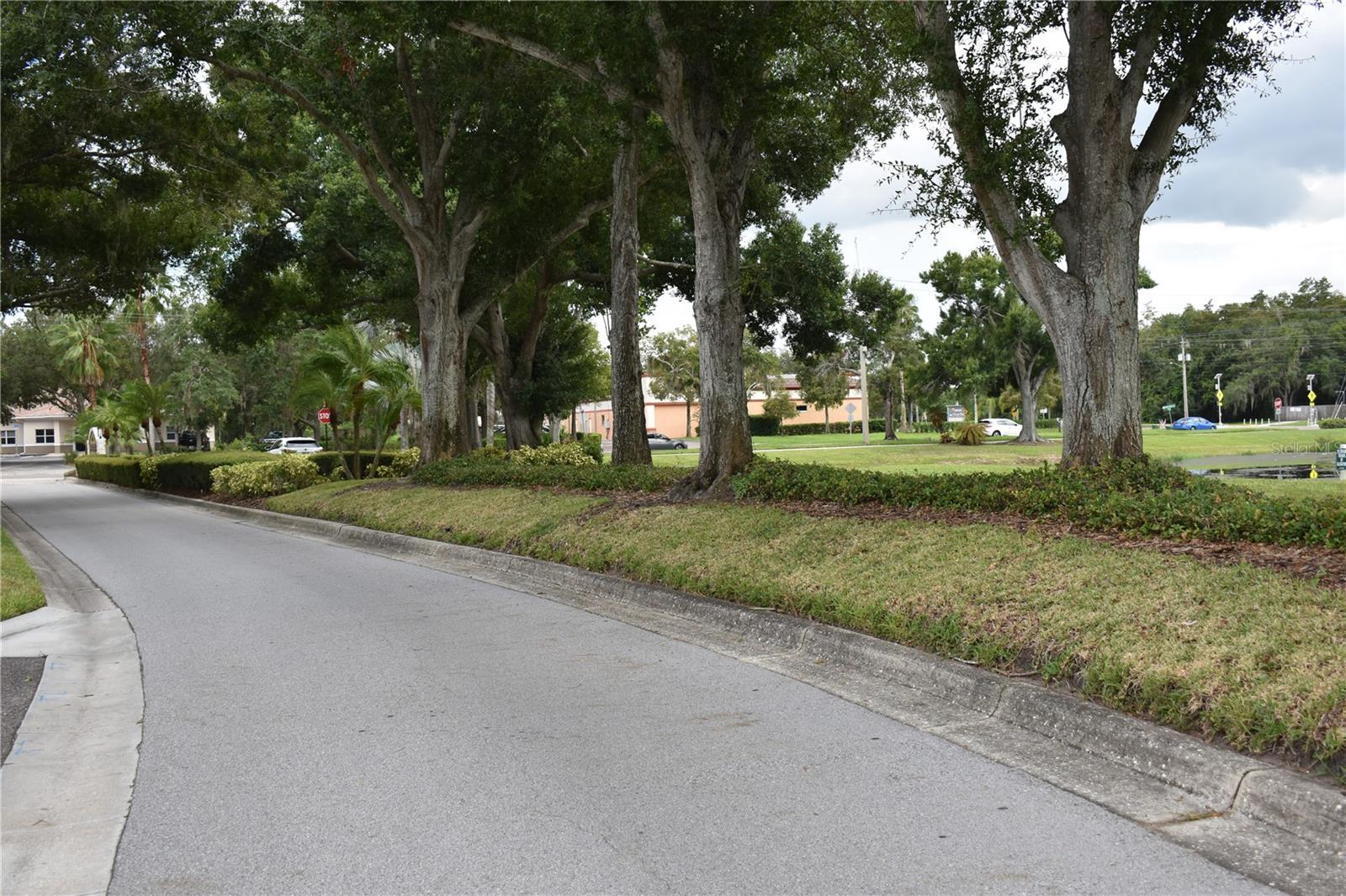 864 SNAIL KITE PL — photo 53