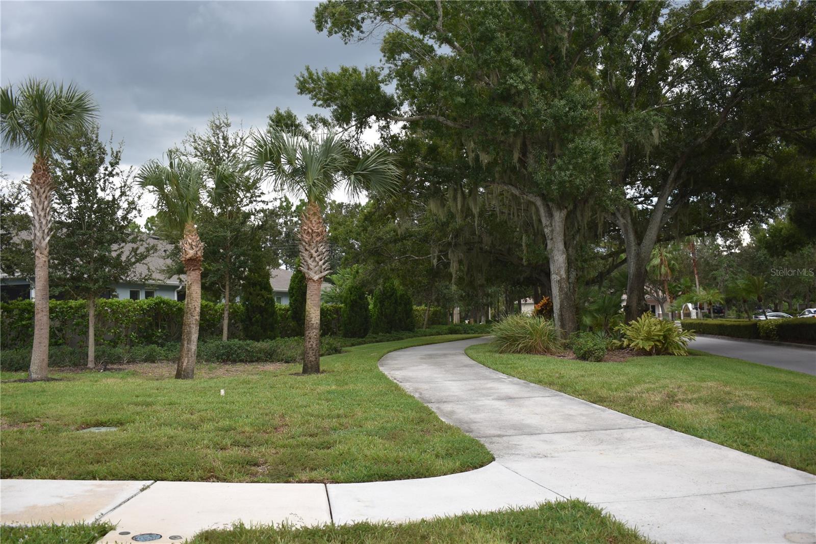 864 SNAIL KITE PL — photo 51