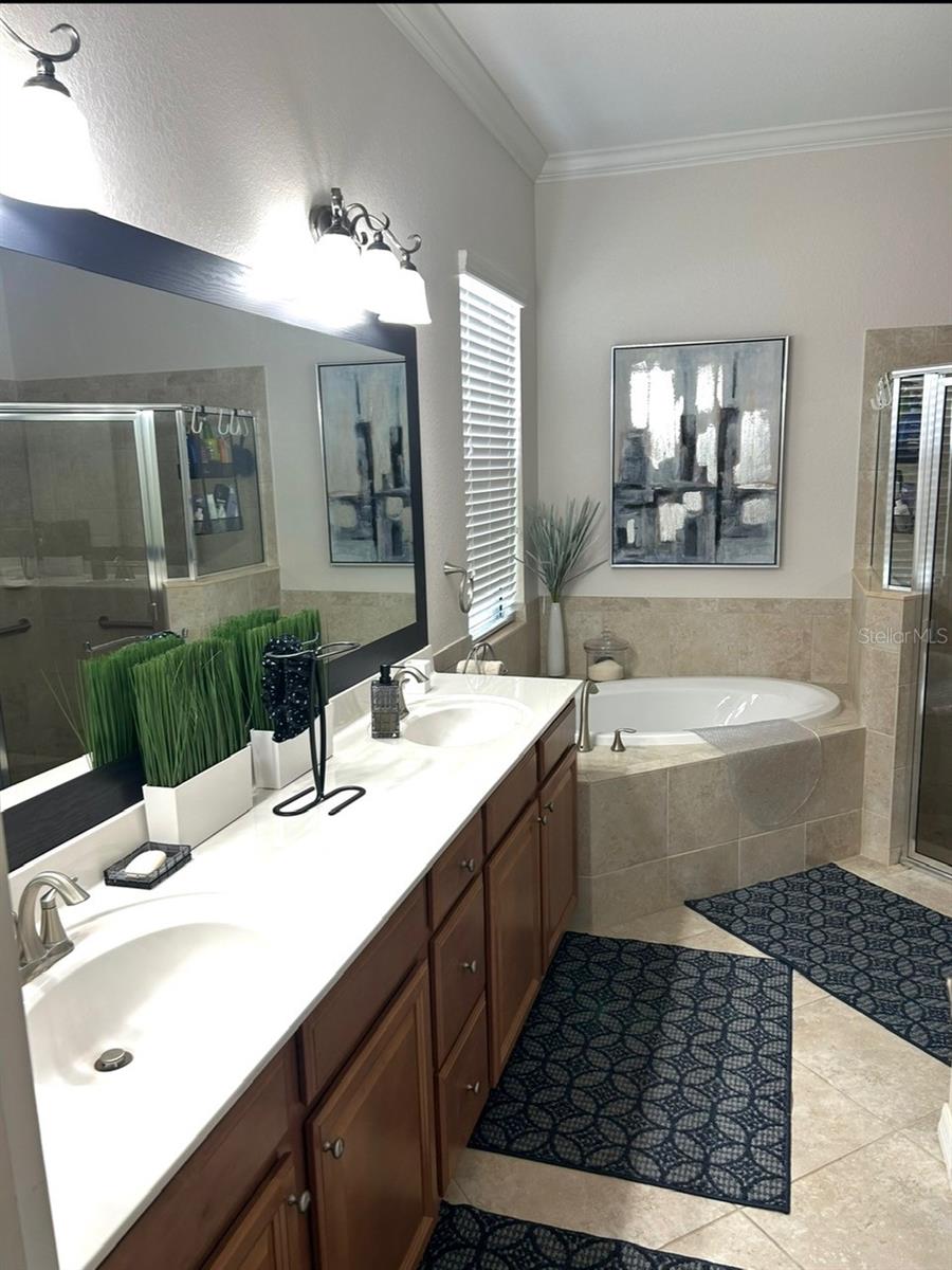 13321 SWIFTWATER WAY — photo 17
