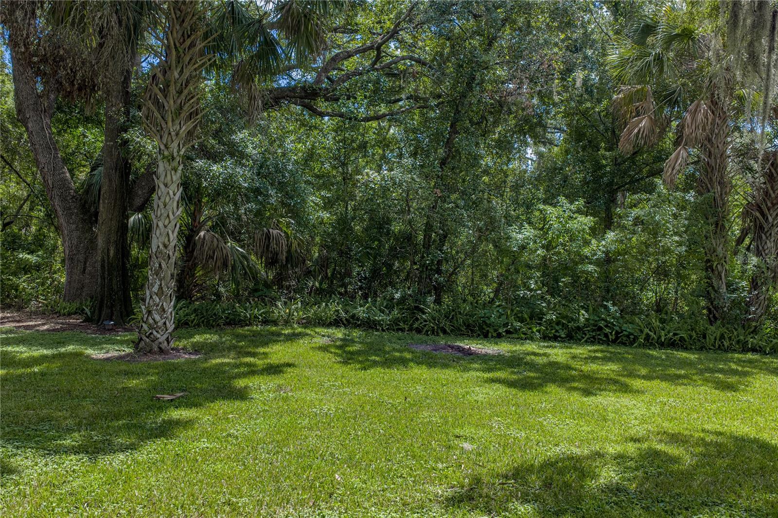 2405 EARLSWOOD CT — photo 49