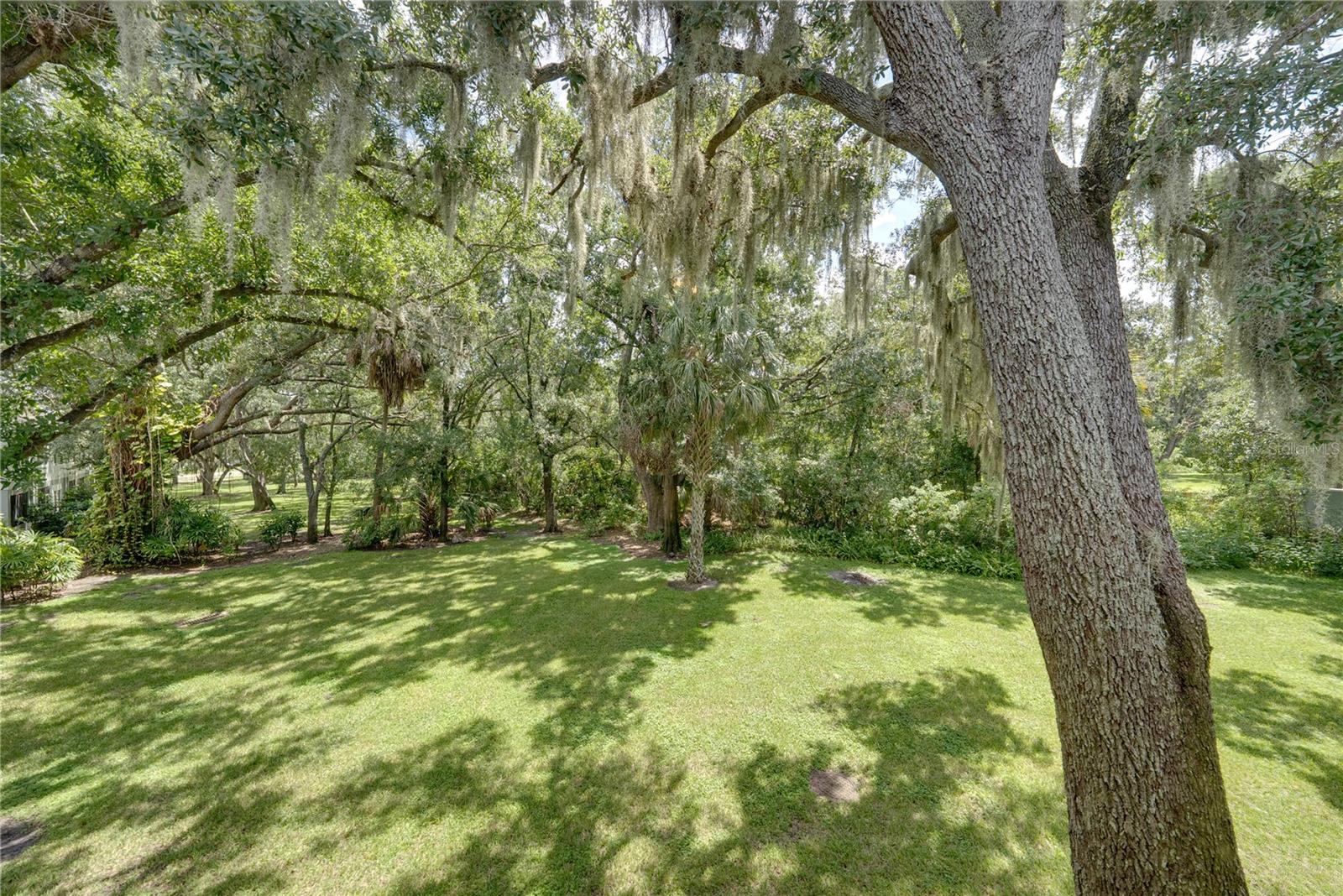 2405 EARLSWOOD CT — photo 37